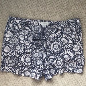 Loft shorts. Size 12. EUC.